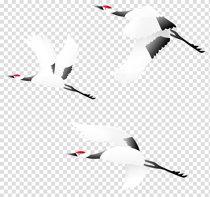 red-crowned crane transparent background PNG clipart