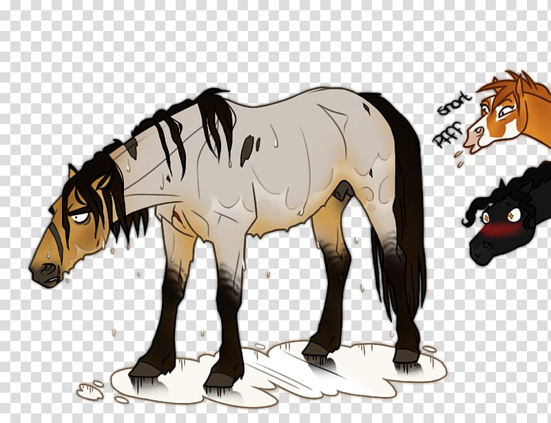 Mule Mustang Stallion Foal Colt, Canon EOS 20D transparent background PNG clipart