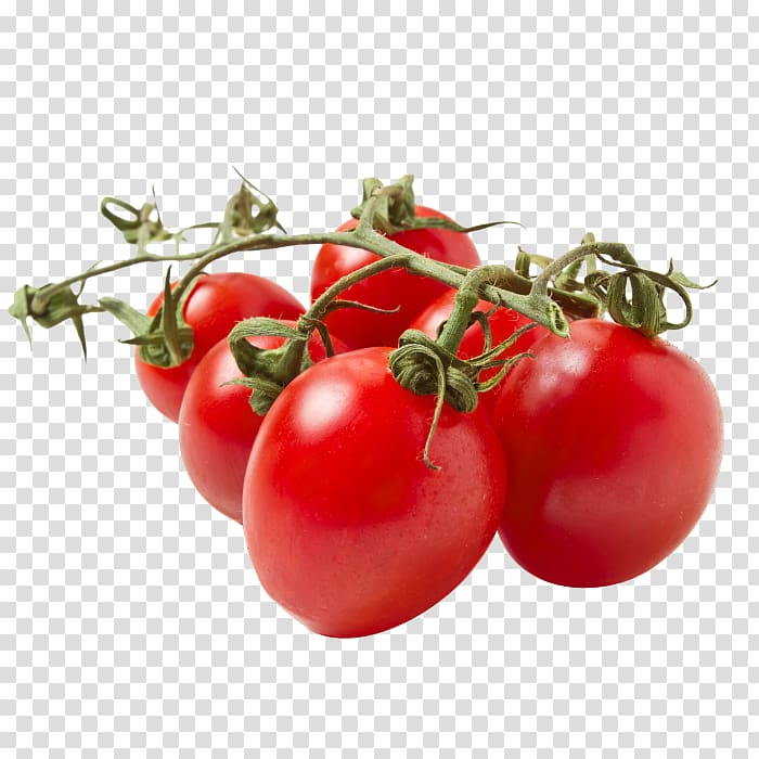 Tomato , sliced tomato casserole transparent background PNG clipart