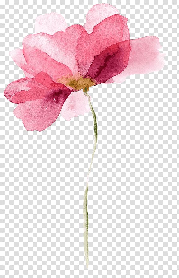 Watercolor painting Canvas Flower, painting transparent background PNG clipart