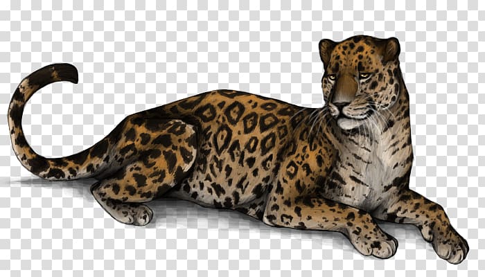 Leopard Jaguar Cheetah Whiskers Snout, open arms transparent background PNG clipart
