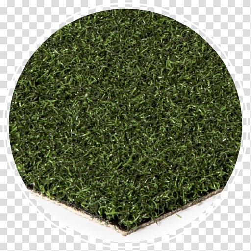 Artificial turf Golf course turf Sod Lawn Sport, others transparent background PNG clipart