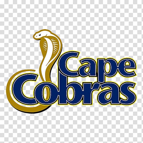 Cape Cobras Titans 2017–18 Ram Slam T20 Challenge Dolphins Warriors, cricket team transparent background PNG clipart