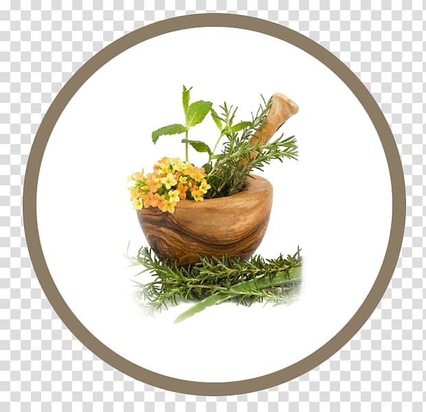 Herb Therapy Medicine Dr. med. Johannes Mayer Plant, Fresh Coffee transparent background PNG clipart