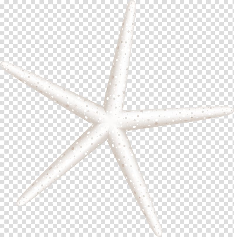 hand painted white starfish transparent background PNG clipart