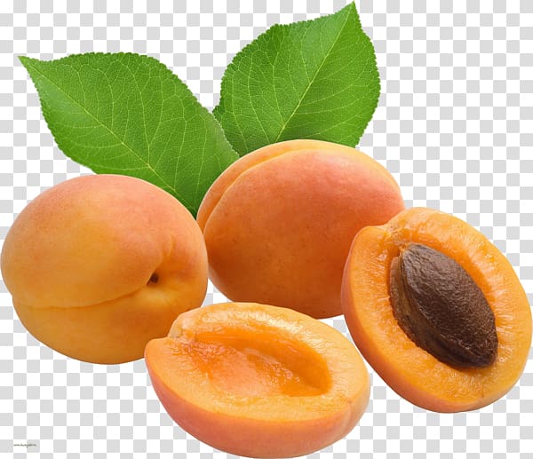 Gelatin dessert Apricot Prunus mandshurica Vaisiaus kauliukas, apricot transparent background PNG clipart