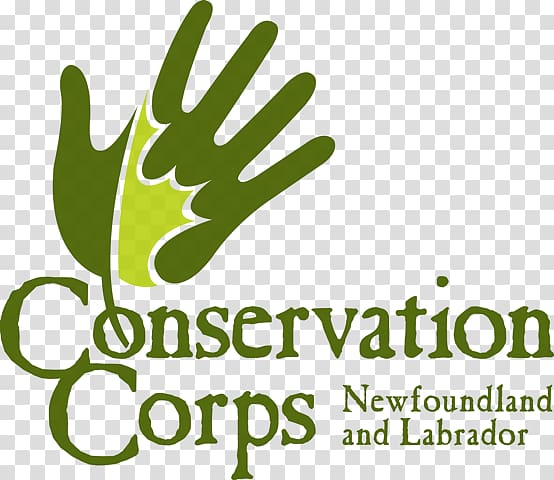 Conservation Corps Newfoundland And Labrador Newfoundland dog Change Islands Newfoundland & Labrador Down Syndrome Society Labrador Retriever, others transparent background PNG clipart