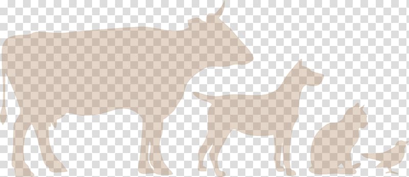 Cattle Deer Goat Sheep Dog, Dairy Farm transparent background PNG clipart