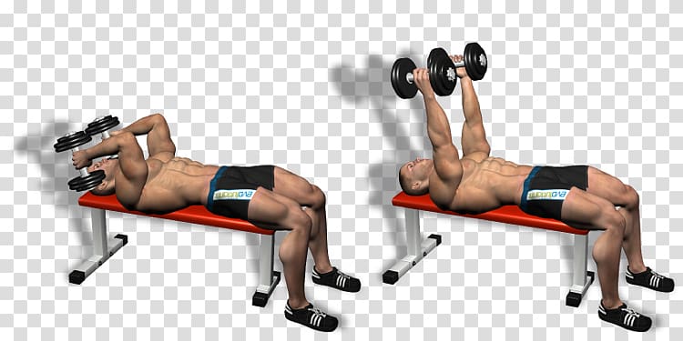 Physical fitness Shoulder Bench Dumbbell Lying triceps extensions, French Press transparent background PNG clipart