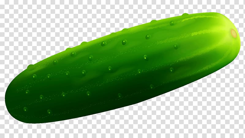 Pickled cucumber Vegetable Melon , cucumber transparent background PNG clipart