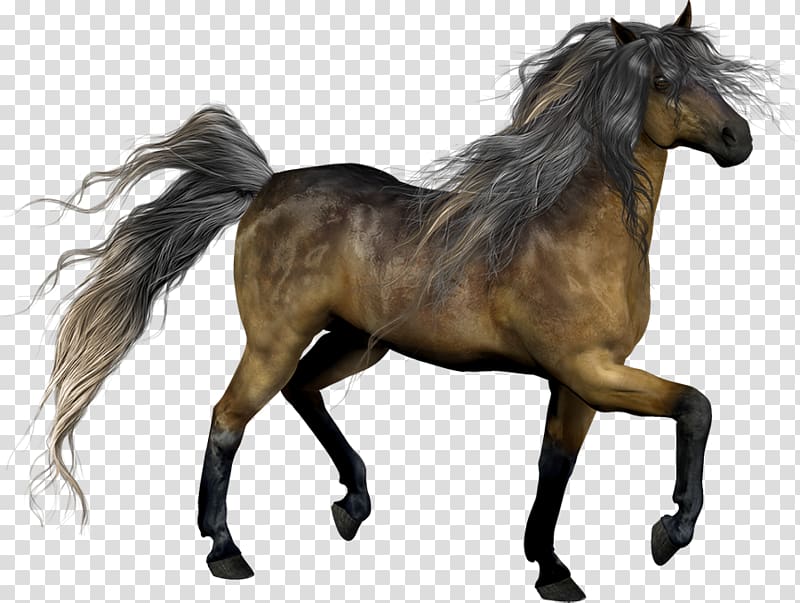 Mustang Stallion Pony Mane Mare, Hand-painted horse run transparent background PNG clipart
