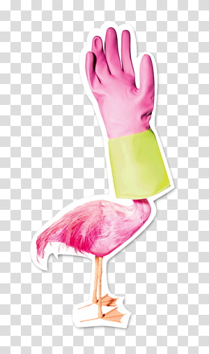 Thumb Bird , Bird transparent background PNG clipart thumbnail