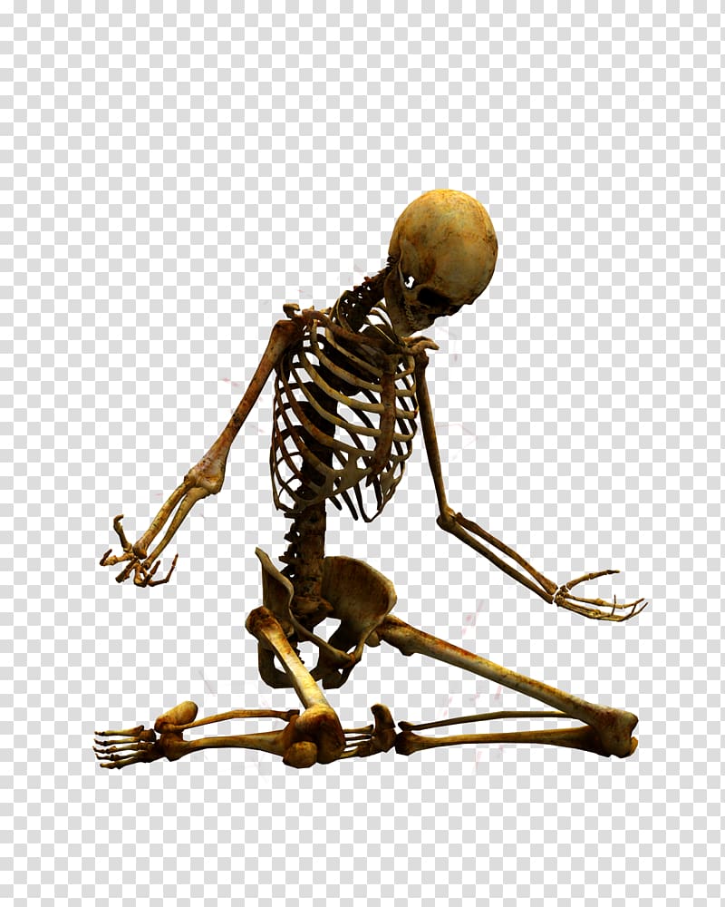 skeleton bending illustration, Human skeleton Bone Skeleton at the 2018 Olympic Winter Games, skeleton transparent background PNG clipart