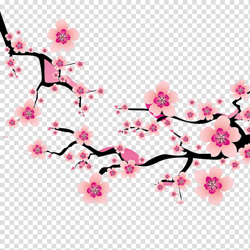 Cherry blossom Plum blossom , Plum flower transparent background PNG clipart