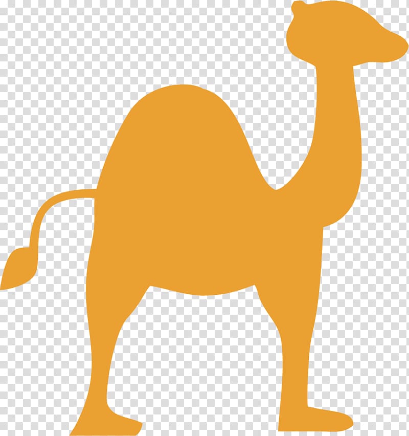 Dromedary Eid al-Adha , Orange Camel transparent background PNG clipart