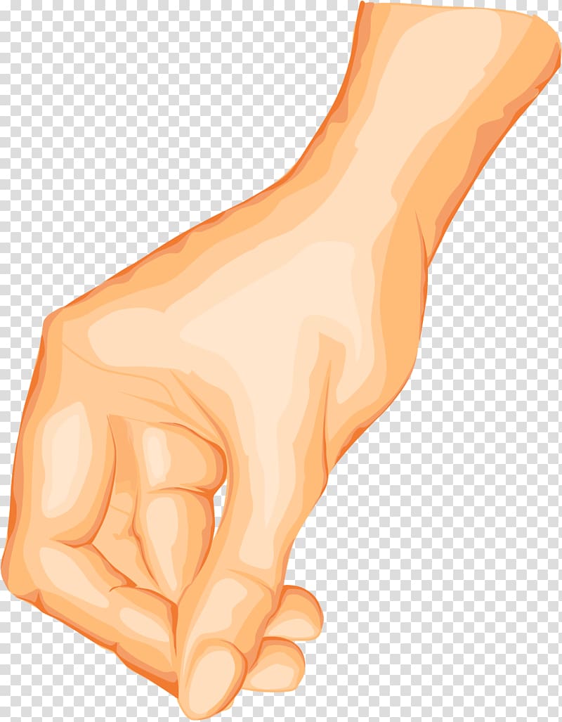 Thumb Hand model Finger Bone Human leg, ramses ii transparent background PNG clipart