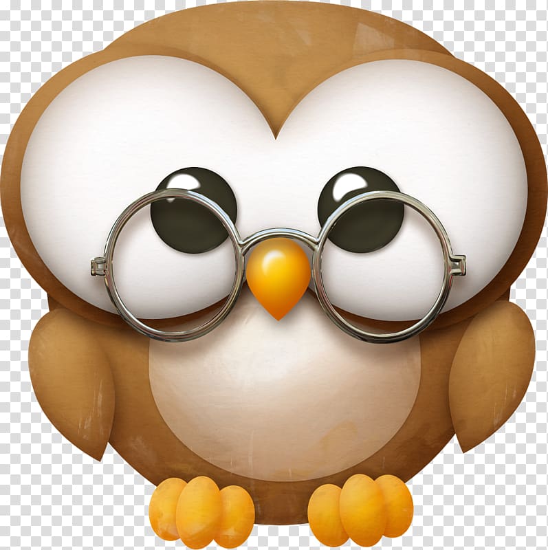 Barn owl Drawing Little Owl, owl transparent background PNG clipart