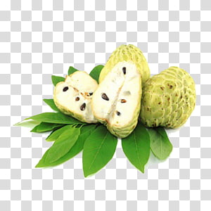 16+ Custard Apple Clipart Images Pictures