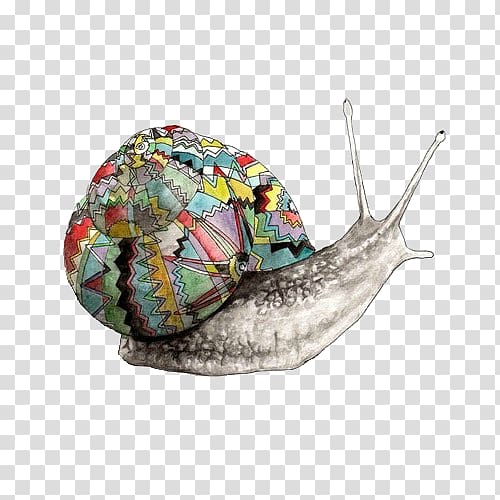 Land snail Drawing Art, Snail transparent background PNG clipart