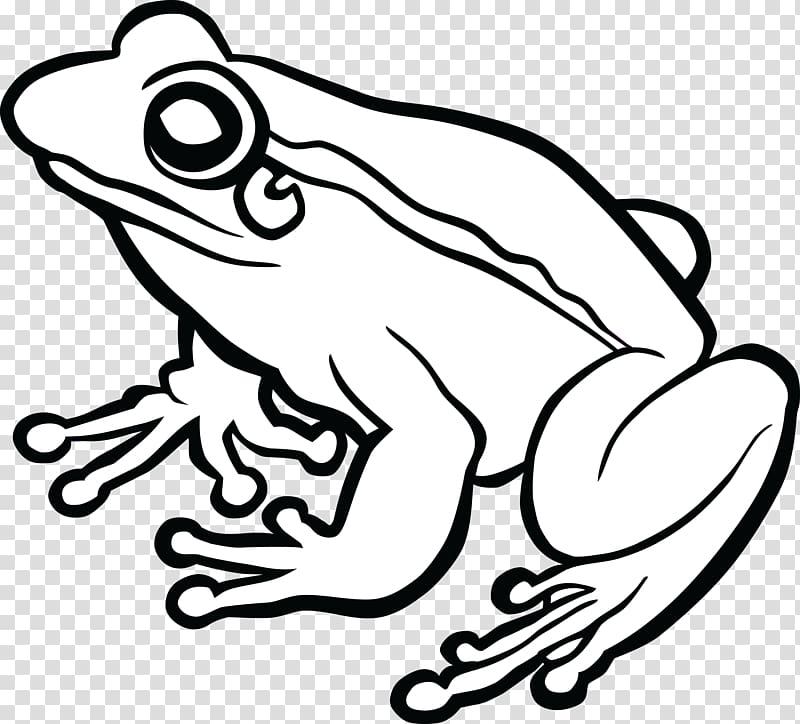 Frog Line art Drawing , amphibian transparent background PNG clipart