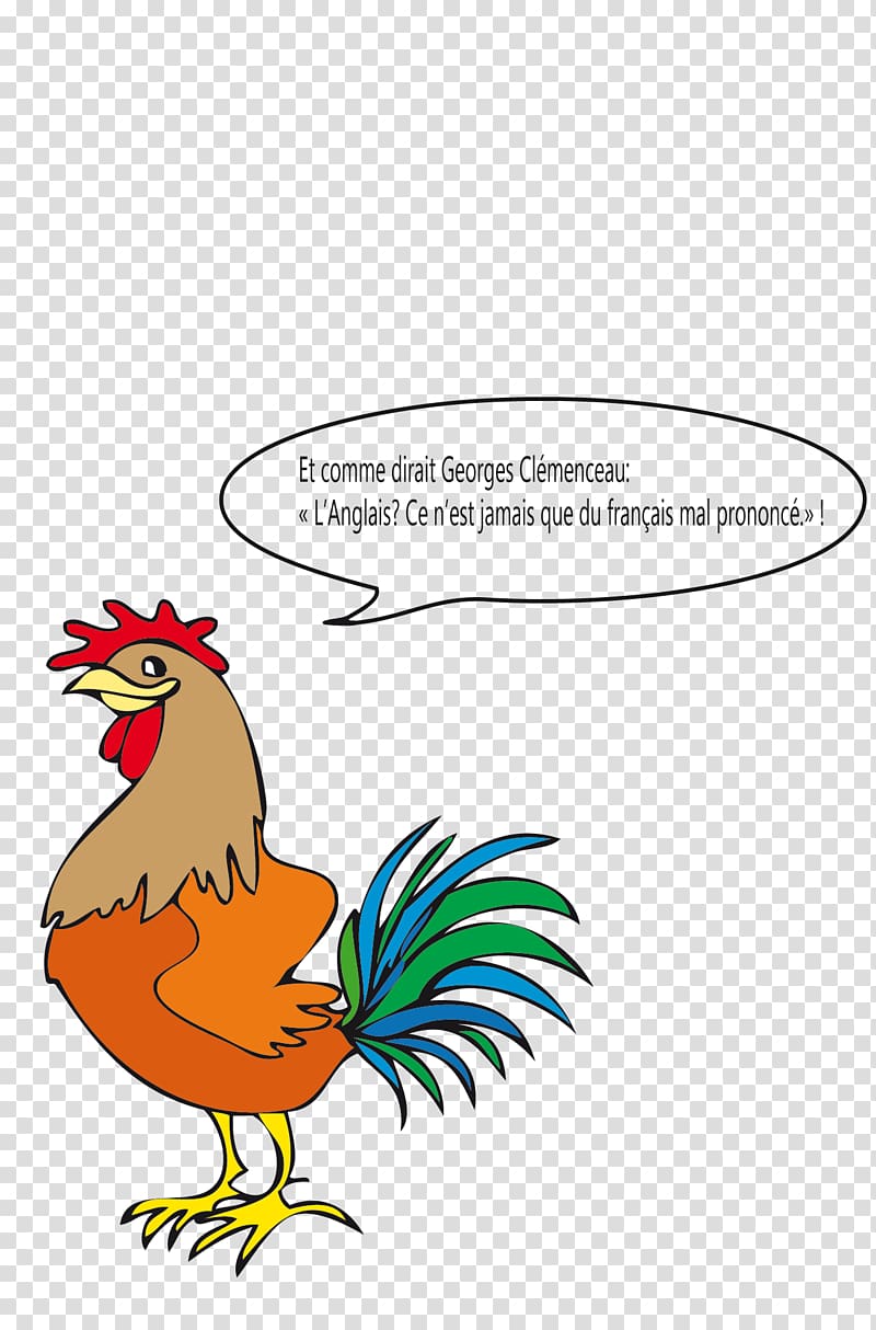 Rooster French Language English Vocabulary, coq transparent background PNG clipart