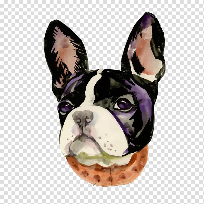 Boston Terrier French Bulldog Toy Bulldog Snout, bulldog basketball transparent background PNG clipart