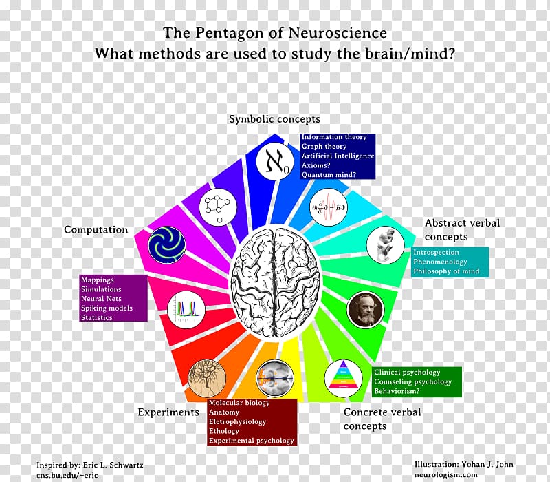 Neuroscience Cognitive science Pentagon An Essay Concerning Human Understanding, creative math ppt chart transparent background PNG clipart