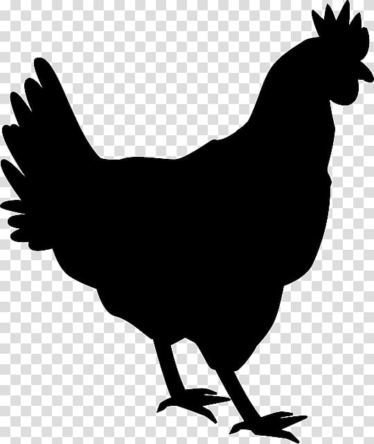 Silkie Shamo chickens Silhouette Rooster , Silhouette transparent background PNG clipart