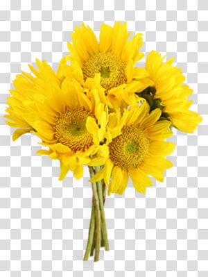 Flower bouquet , flower transparent background PNG clipart thumbnail