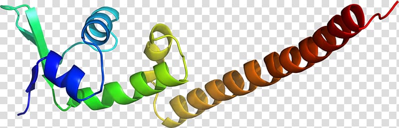 TATA-binding protein Tata Motors Transcription factor II D Transactivation domain, others transparent background PNG clipart