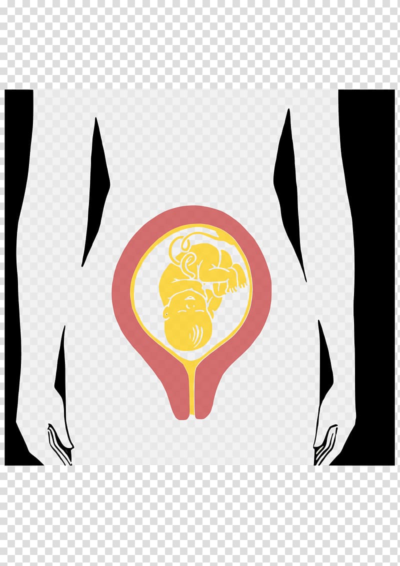 Desktop Computer Icons , pregnant woman transparent background PNG clipart