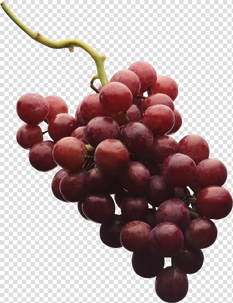 Red Wine Shiraz Grape, Grape transparent background PNG clipart