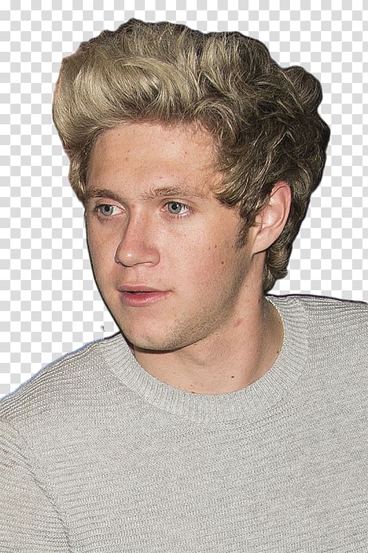 Niall Horan Mullingar One Direction, one direction transparent background PNG clipart
