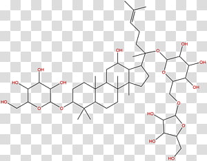 Line Point, line transparent background PNG clipart thumbnail