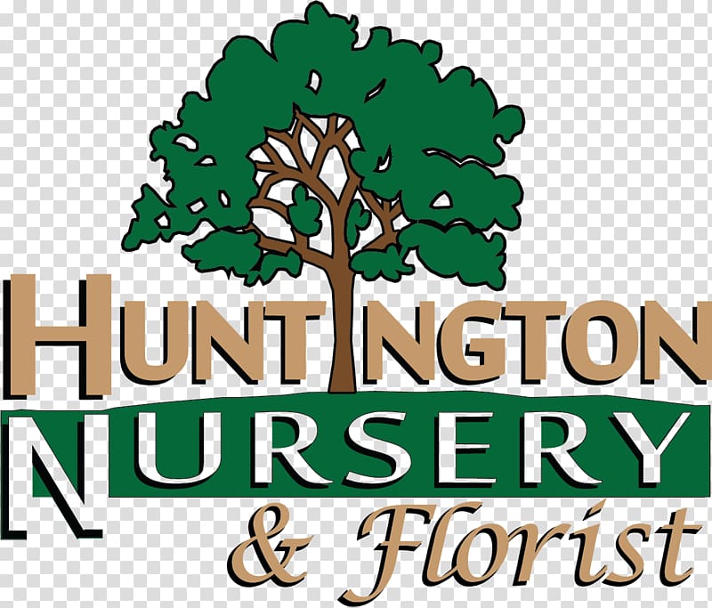 Huntington Nursery & Florists Tree Floristry Garden, tree transparent background PNG clipart