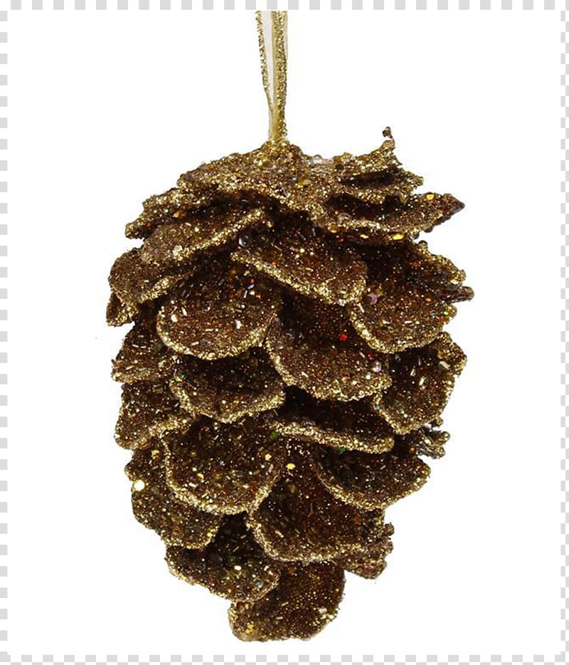 Conifer cone Picea mariana Ornament Fir Bead, pheasant feathers transparent background PNG clipart