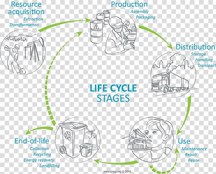 Product life-cycle management Life-cycle assessment Cycle de vie des produits Biological life cycle, coffee raw materials transparent background PNG clipart