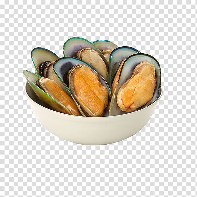 Mussel Clam Shellfish Molluscs Seafood, mussels transparent background PNG clipart