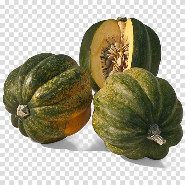 Figleaf Gourd Calabaza Winter squash Cucurbita pepo Acorn squash, Acorn Squash Background transparent background PNG clipart