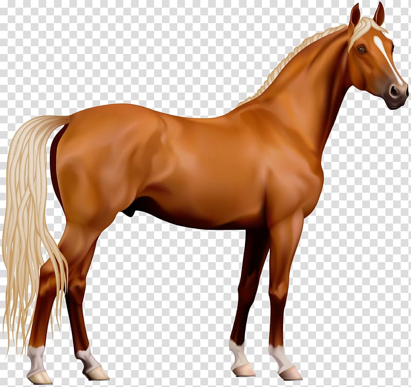 Horse Computer file, Horse , horse illustration transparent background PNG clipart