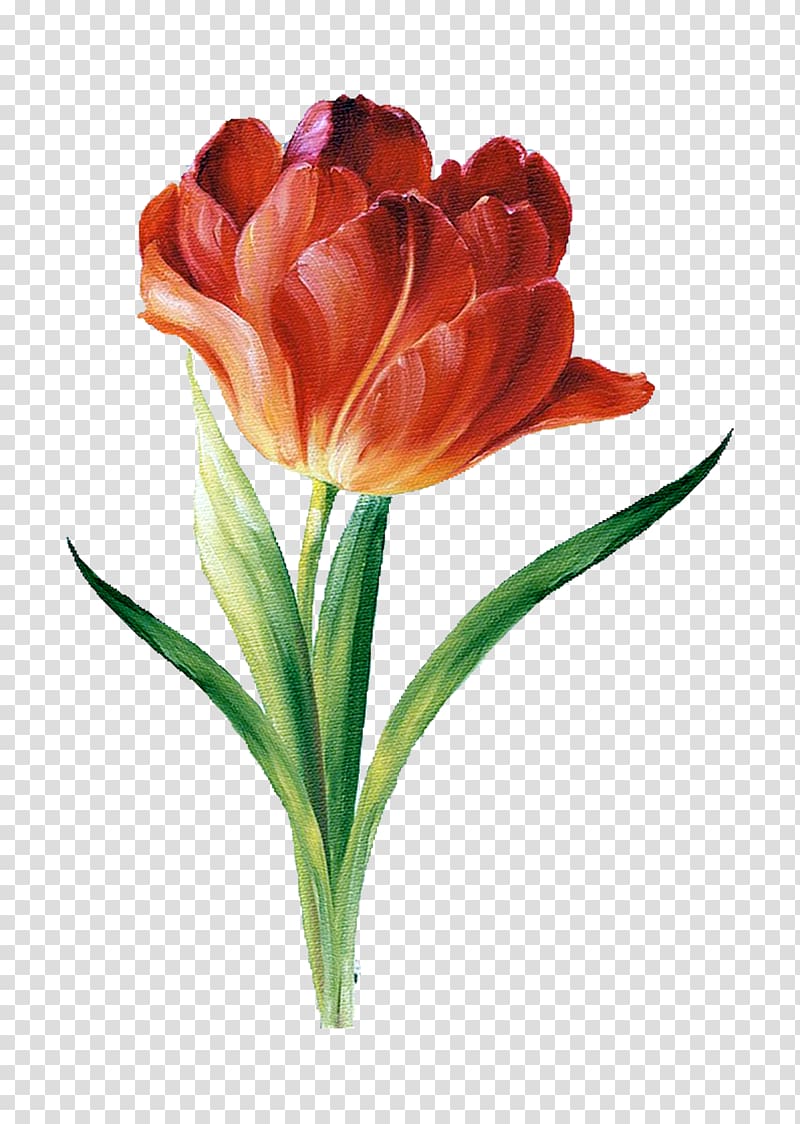 Watercolor painting Decoupage Art Flower, audit transparent background PNG clipart