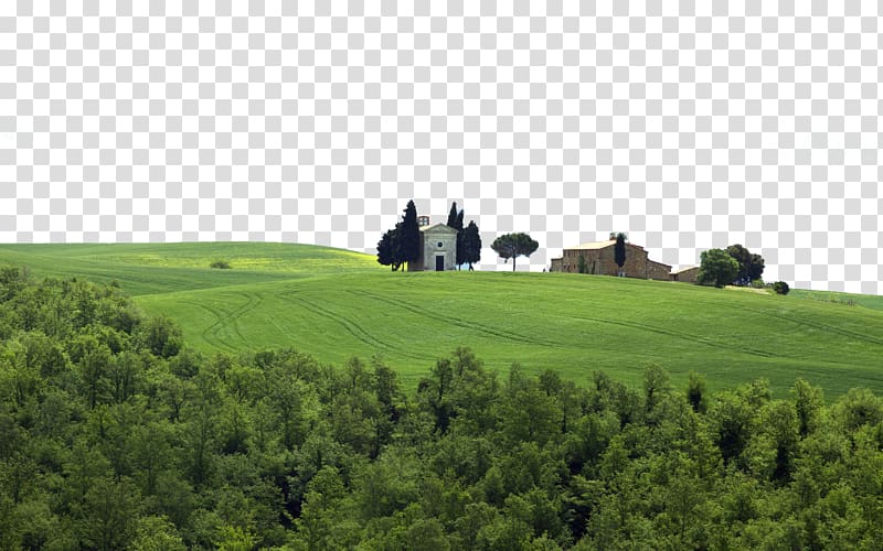 Pienza Siena Umbria Val dOrcia , Italy Tuscany Grassland transparent background PNG clipart