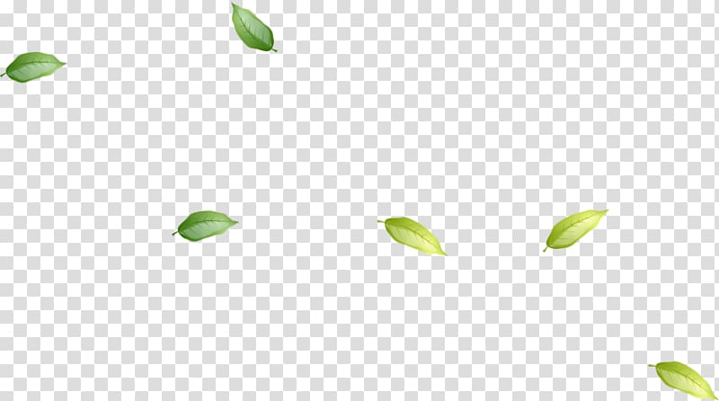 green leaves , Green leaves floating transparent background PNG clipart