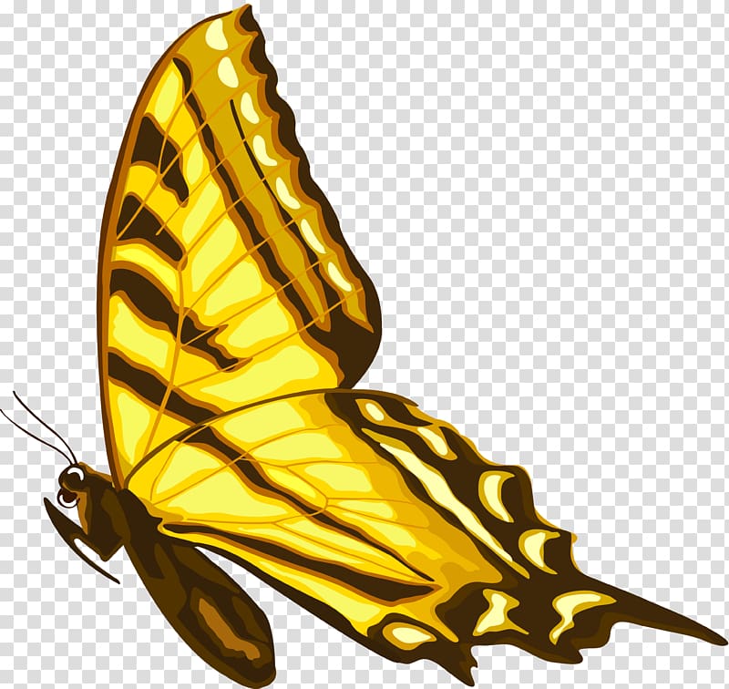 Monarch butterfly Insect Nymphalidae Pollinator, 7.25% transparent background PNG clipart