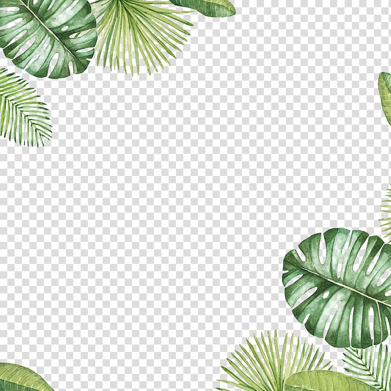 green leafed plant decor, Leaf , green leaves transparent background PNG clipart