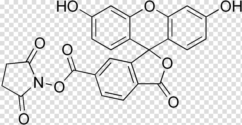 Serotonin Carboxyfluorescein diacetate succinimidyl ester Axitinib Chemistry, ester transparent background PNG clipart