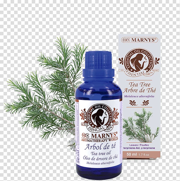 Marny\'s Oil Tea Tree Essential Oil 15Ml. 15 ml Narrow-leaved paperbark Distillation, tea transparent background PNG clipart