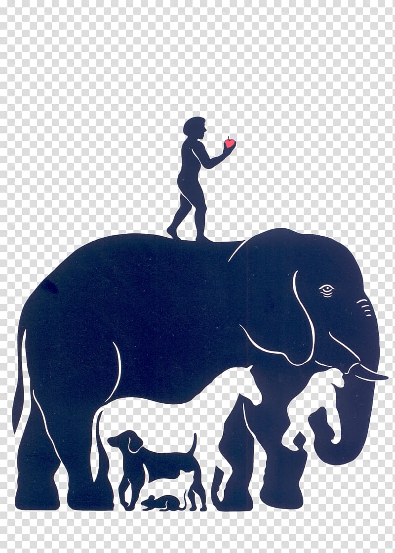 Optical illusion Author YouTube Intelligence, Elephant transparent background PNG clipart