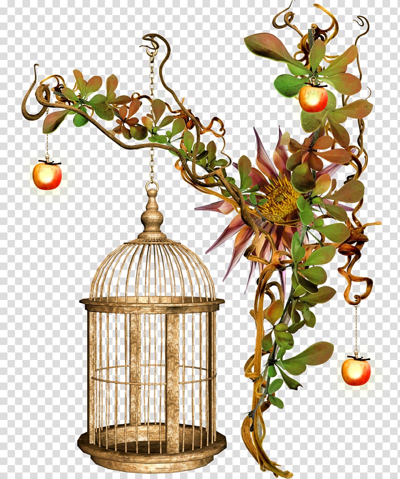 Birdcage Birdcage Cockatiel Parrot, Bird transparent background PNG clipart