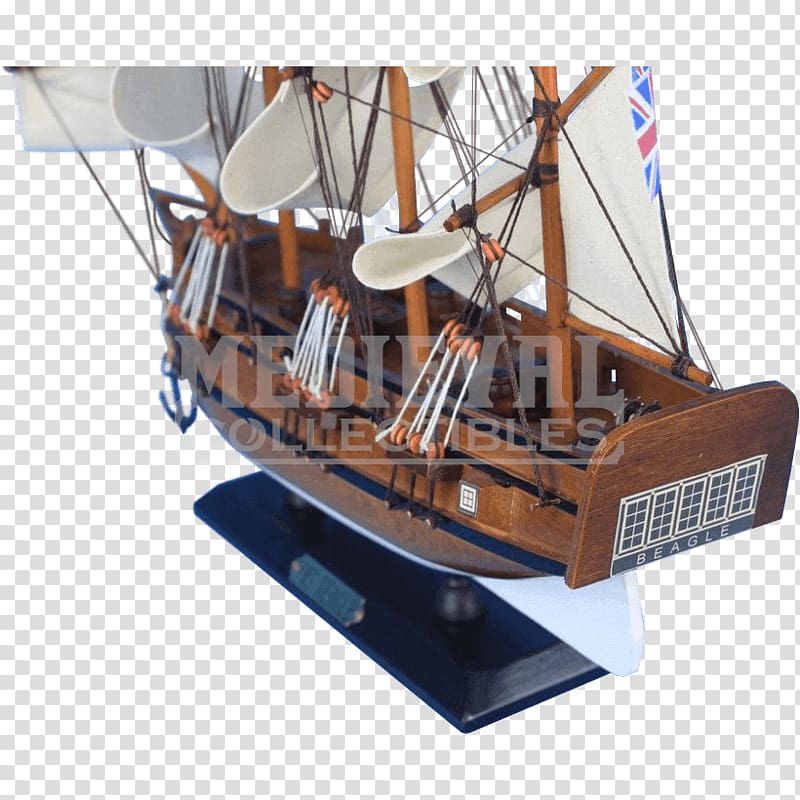 Caravel The Voyage of the Beagle HMS Beagle Ship, Ship Replica transparent background PNG clipart